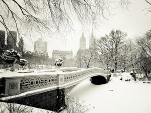 New York sous la neige