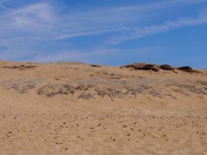 Une dune à Corfou